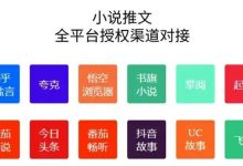 保姆级小说推文玩法-朝盈屋